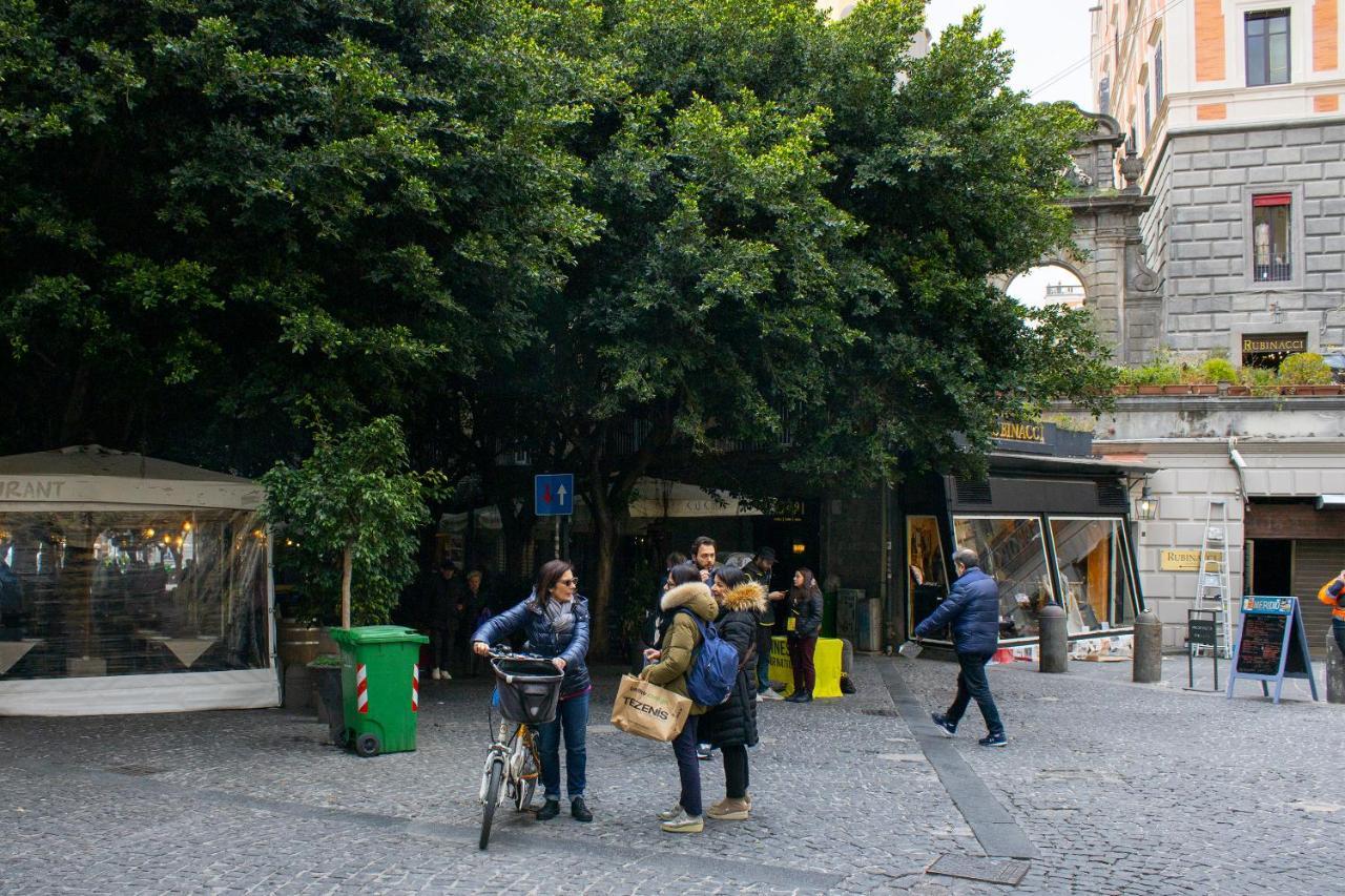 La Casa Del Duca Appartamento